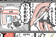 【伝線】なんだよこの漫画ｗｗｗ【注意】
