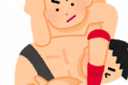 【ファ～ｗ】プロレス☜超かっこいい技名が多すぎるんゴｗｗｗｗｗｗｗｗ