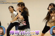 【レコ大布石？】NHK「けやき坂46は欅坂46の二軍 苦難続きの3年間」