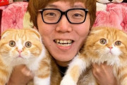 ヒカキン「産まれるッ…！」毛並みの良い猫「オギャア！オギャア！」