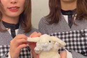 【日向坂46】ずっと耳をいじり続けるめいめいｗｗｗｗｗｗ