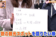 【画像あり】女さん「北海道旅行するわよ～」ワイ「疲れるぞ」女さん「はい、事業計画書」