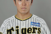 豊田寛（27歳）　阪神にはもったいない