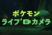 『ポケモン ソードシールド』ポケモン観察の24時間ライブ中継決定！進ポケ、嫁ポケが出てくるかも！？