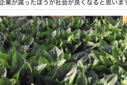 ひろゆき「年収400万円払って日本人を雇えばいいじゃん」農家で外国人の技能実習生に頼っている現状に疑問