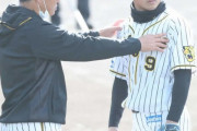 阪神・高山　原点回帰で“新人王フォーム”取り戻す!「4スタンス理論」で藤井康コーチがサポート