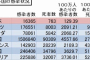 【画像】日本、コロナ対策に世界一成功した先進国となってしまうｗｗｗｗｗｗｗｗ