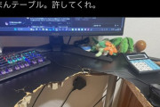 【画像】チー牛、ブチギレて台パン→あまりにもパワーがあり過ぎて机を破壊してしまうｗｗｗｗ