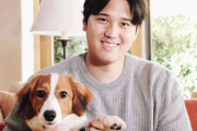 大谷翔平　MVP発表“同席”ワンちゃんは自身の愛犬、本紙取材で判明　「最近飼い出した」