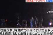【うわあああ】「熊本産」アサリ、９７％が外国産か