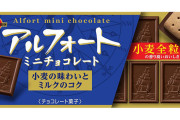 日本一うまいチョコレート菓子←これ