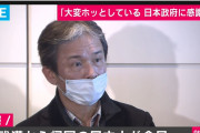帰国した日本人、マスクから鼻が出ていただけで叩かれる…もう嫌だこの国 #画像 |  恐慌状態の大衆は見ててちょっと面白いｗ
