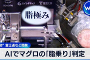 楽韓さん、本日の動向 - このAIの使いかたは日本しかできないっすな