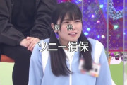 【日向坂46】今週もひなあいスタッフの技術が光る… 『日向坂で会いましょう』フレンドリーパーク企画の感想まとめ！
