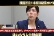 【朗報】小野田紀美大臣、男性経験ゼロだった「今まで男性と付き合った事ないし興味ない。二次元のキャラ以外好きにならない」