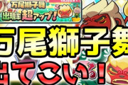 【ぷにぷに初心者向け】Zランク「万尾獅子舞」出現率超アップ！転生ガシャ50連で出てくるか！？（ニャン速ちゃんねる）