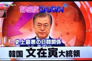 【韓国の反応】文在寅大統領の新年のあいさつ、日本語が除外され中国語がトップにwwwwwwww