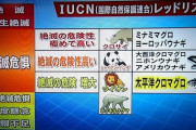 ＩＵＣＮ＝国際自然保護連合「マツタケ」を絶滅危惧種に指定　国際自然保護連合 最新レッドリスト。　ヨーロッパに腐るほど生えてるけどあれはマツタケじゃないの？