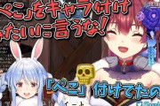 Vtuber 【宝鐘マリン】ぺこらの復帰配信の伝書鳩にブチギレ＆お気持ち表明ｗｗｗ
