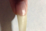 【画像】一年間伸ばし続けた爪をめっちゃ尖らせてみたｗｗ
