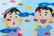 【悲報】現代人「魚を眺めるだけのゲーム！？買った！」 何故なのか