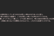 【ホロライブ】今日21時～かなころ枠の概要欄見てない人居たら見てくれ…