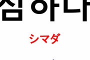 中国人「韓国語が世界で一番美しい音の言語じゃない？」