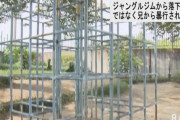 【悲報】小1女児暴行死事件、兄も妹も施設育ちで今年の4月から同居し始めたばっかりだった