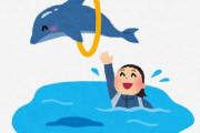 【?】東京の「しながわ水族館」、全面建て替えでイルカショー終了へ…　３０年前は首都圏唯一と話題になるも現在はイルカショー水族館多く　