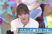 【日向坂46】若林さんがいない収録、かとしの力が出ないwwww