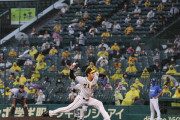 阪神―DeNAは5回表終了後に降雨コールド成立　阪神が観客動員の試合を制して4連勝
