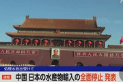 【処理水問題】中国が日本の水産物の輸入24日から全面停止　処理水の放出受け　税関当局が発表