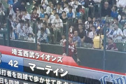 ワイ「西武マーティンの説明して」 フジテレビ「ええで」