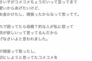【悲報】女オタク「クレーンゲームでコメコメを全回収したら小さい子にねだられ、母親らしき人に怒られた」
