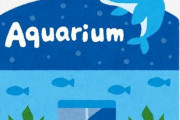 【悲報】水族館の魚50匹が相次いで死ぬ　水槽から『タバコの吸い殻』が見つかる
