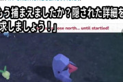 任天堂「ポケモンの新情報、みんな喜んでくれるかなぁ☺」