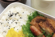 【画像あり】今日の俺の手作り弁当