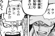 【悲報】今週のワンピース、とんでもないキャラが仲間になってしまう　麦わら海賊団のパワーバランス崩壊へ
