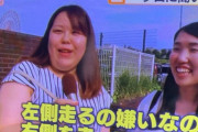 【悲報】よく煽り運転をされる被害者さん、お気持ち表明