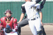 阪神・陽川にブレークの予感　人気「プロウト」お股ニキ氏がイチ推し選手を紹介