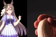 とあるウマ娘オタクさん、サトノダイヤモンドの横でバナナを触ったりする動画を投稿しツイフェミ「ほんとオスきめーな」→誰も反論できず・・・