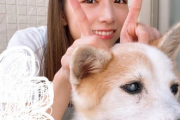 【乃木坂46】きいちゃん「私に夢をくれた、愛犬チップとの14年」ってすごい良い記事だけど…