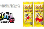 赤城乳業「ガリガリ君の新商品「リッチ たまご焼き味」でリベンジする！」