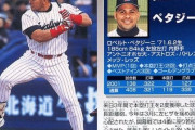 ペタジーニの思い出、カブレラローズラミレスの思い出に比べ少なすぎる