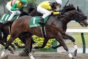 【レパードS】ドンインザムードが不良馬場制す！３連単は波乱決着
