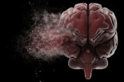 パンデミック前からの追跡調査により、新型コロナの脳への影響が判明　「感染後は数%ほど脳が〇〇する」