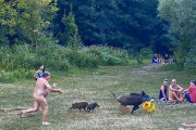 【環境】全裸男性のパソコン奪ったイノシシ、駆除される恐れ ドイツ