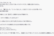 【正論】セクシー女優さん「SNSでお世話になってましたとDMするのはセクハラだし不快。痴漢と一緒」