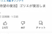 【悲報】なぜガレッジセール・ゴリは消えてしまったのか！！