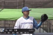 金子千尋が二軍で沢村賞投手やってるらしいんだが